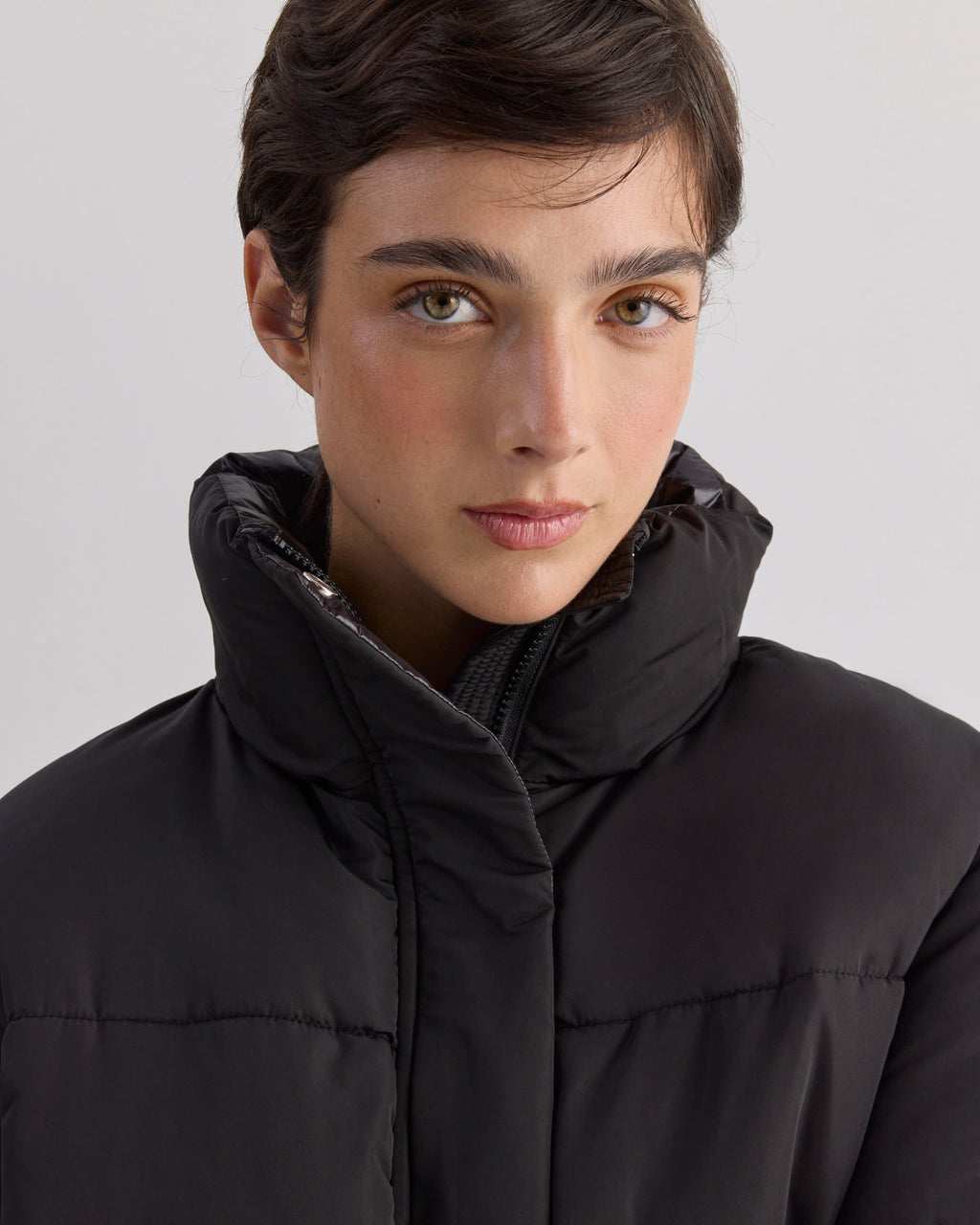 Puffer Borbon